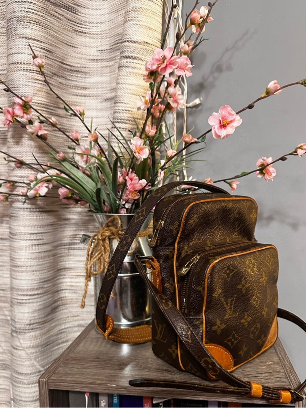 Louis Vuitton
Amazone Crossbody Bag - Picture 5 of 16